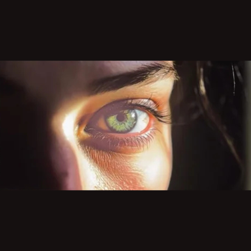 Dynabook X70 matte screen repair