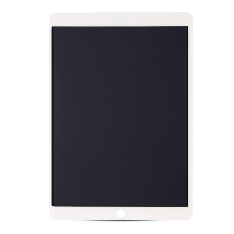 iPad white screen repair