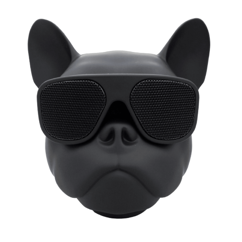 Bluetooth Speaker 22